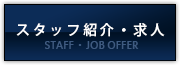 スタッフ紹介・求人