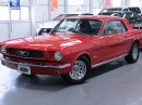 IMG_2036 IMG_2036