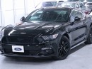 IMG_3914 IMG_3914