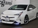 IMG_8693 IMG_86934