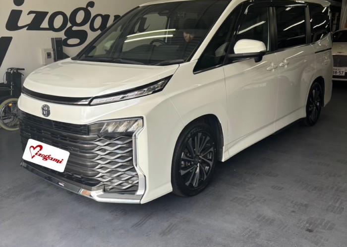 S__11559194 S__11559194