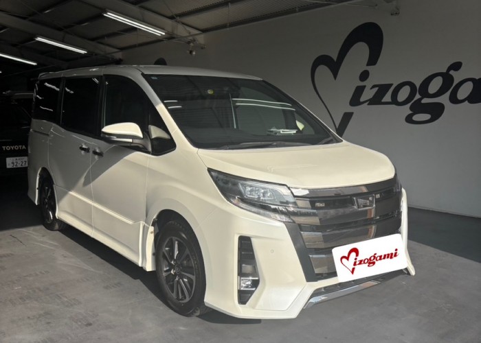 S__12582944 S__12582944